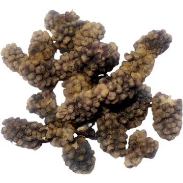 Torkade svarta mullbär